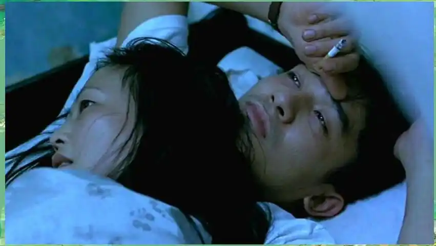 从《三轮车夫》到《色戒》——国际大奖影片的禁映现象与追求