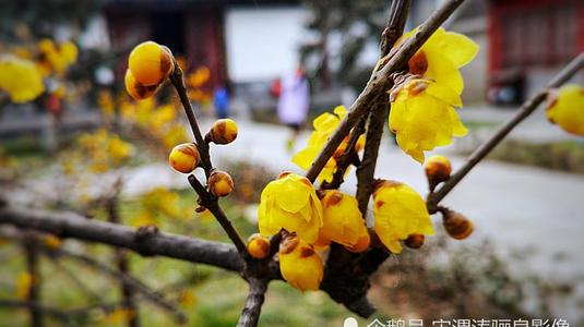 中国古典色彩_色悠悠_中国人的色彩美学