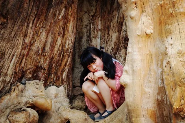 学生眼中的老师妈妈_老师妈妈的小学生作文_我的美母教师