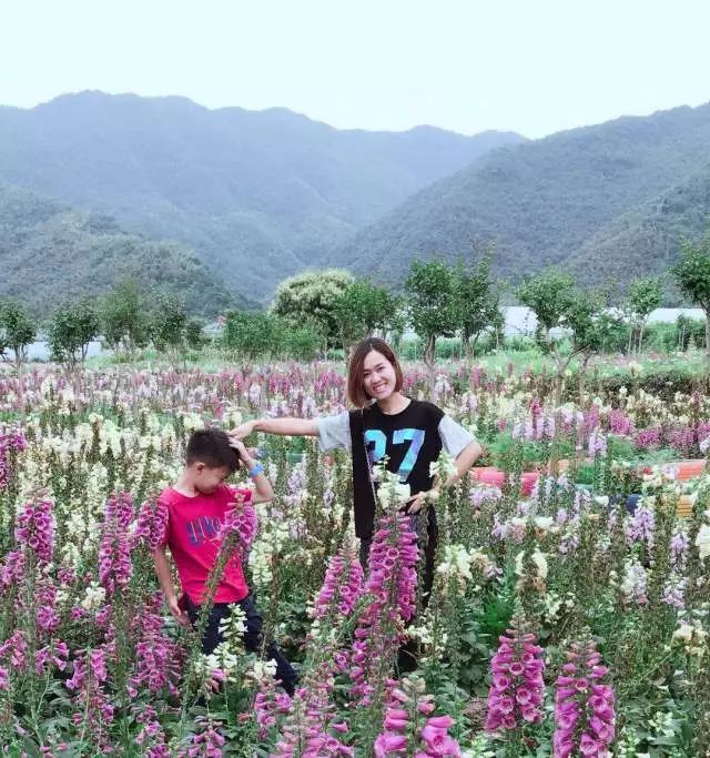 我的美母教师_学生眼中的老师妈妈_老师妈妈的小学生作文